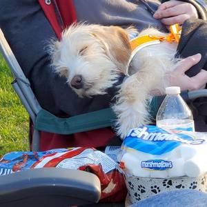 Meet your Posher, Jenny